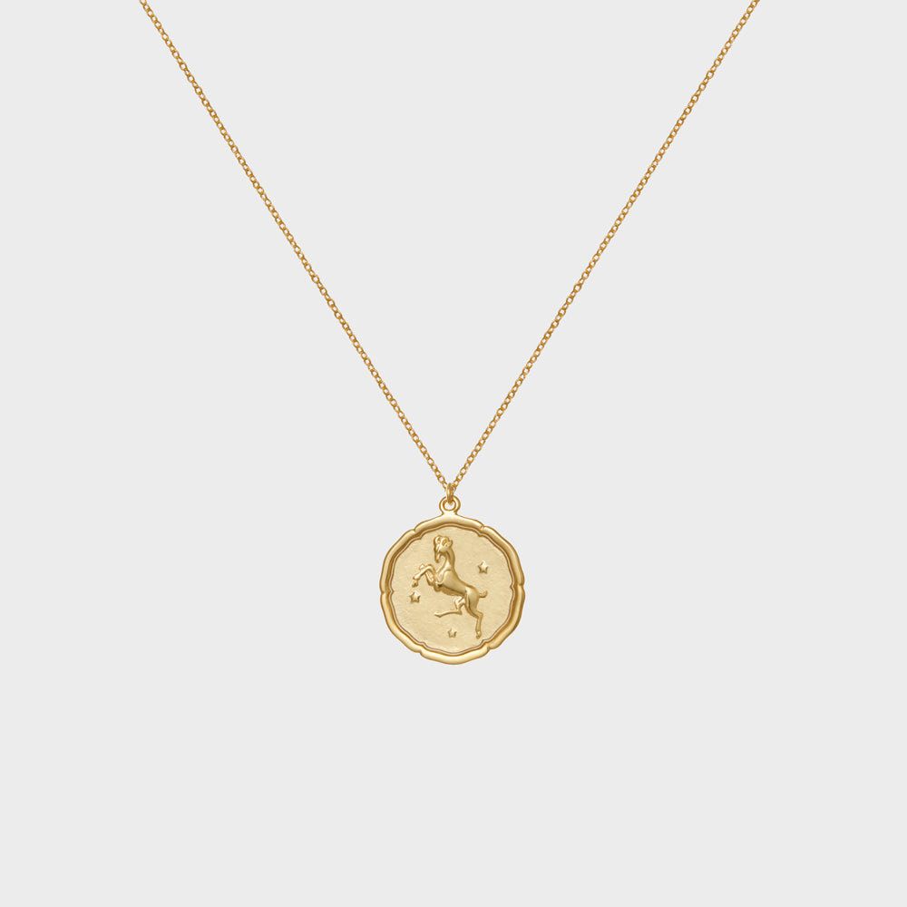 Aries Astrology Coin Necklace