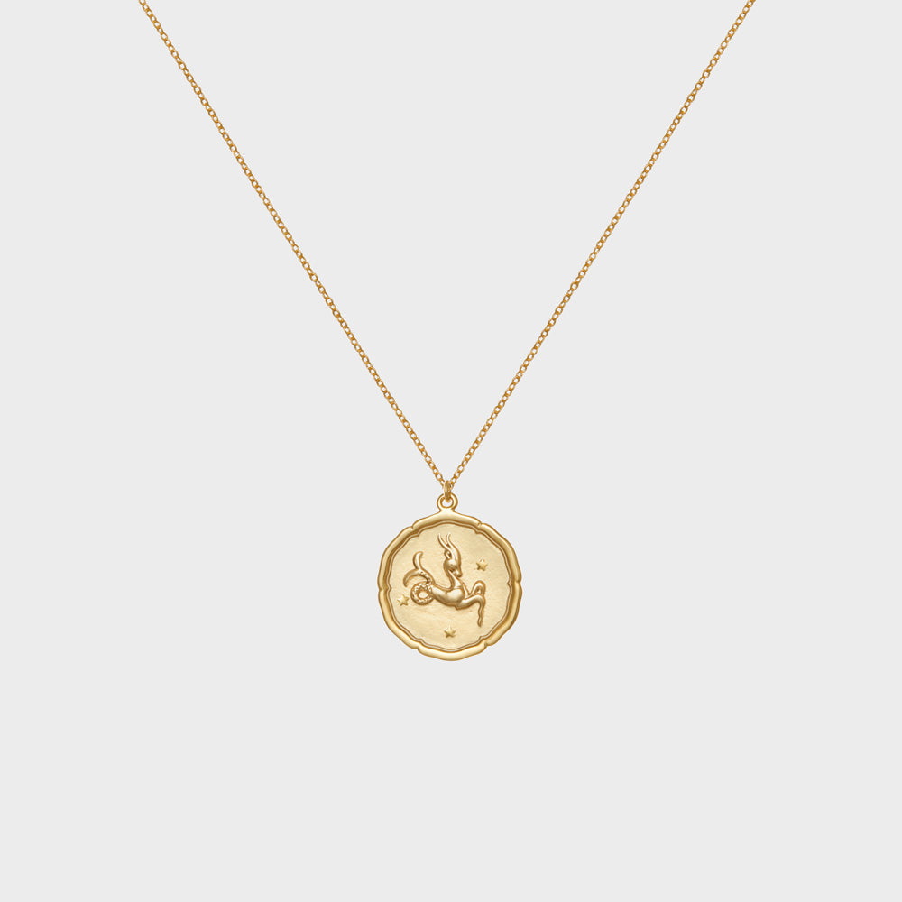 Capricorn Astrology Coin Necklace