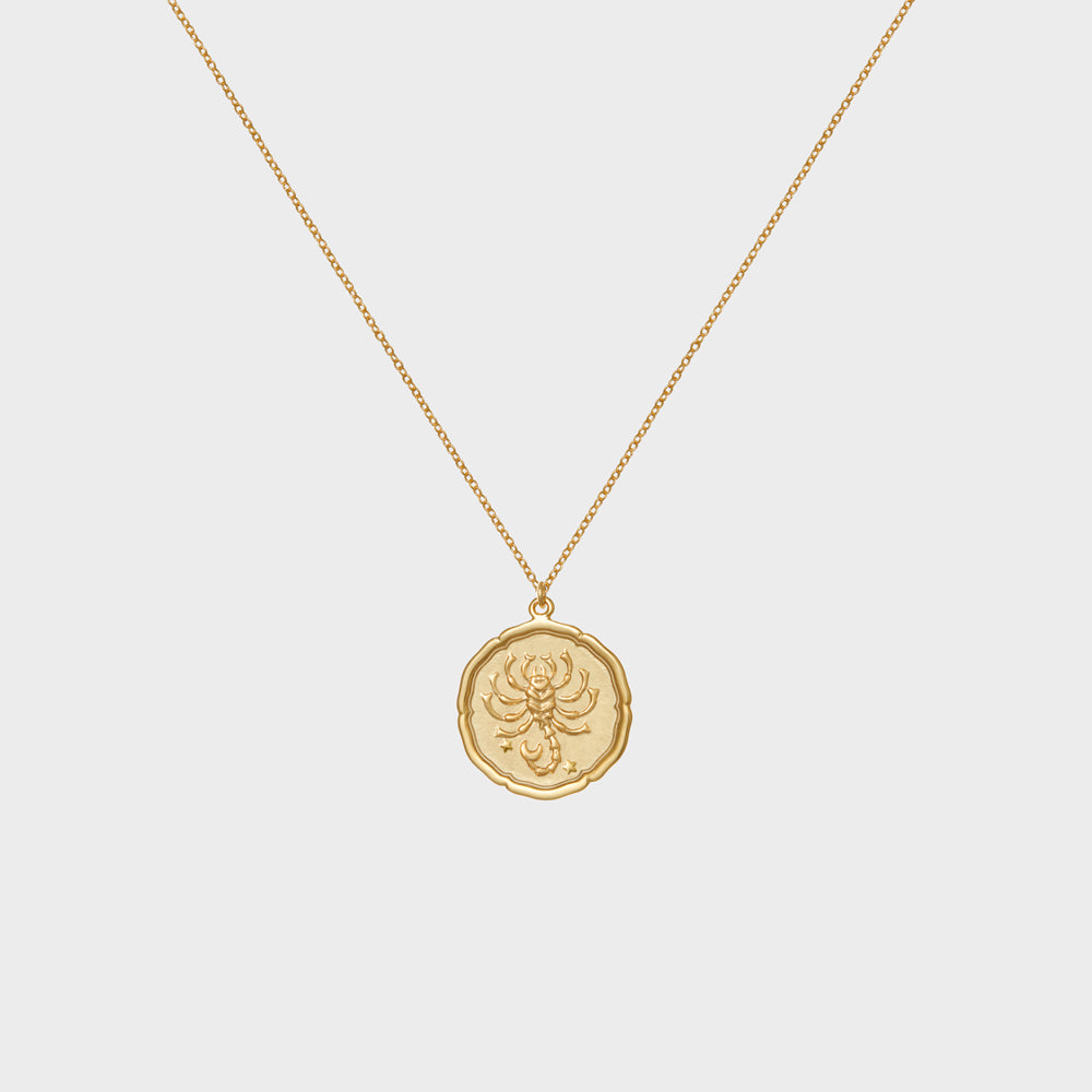 Scorpio Astrology Coin Necklace