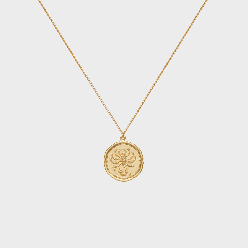 Scorpio Astrology Coin Necklace