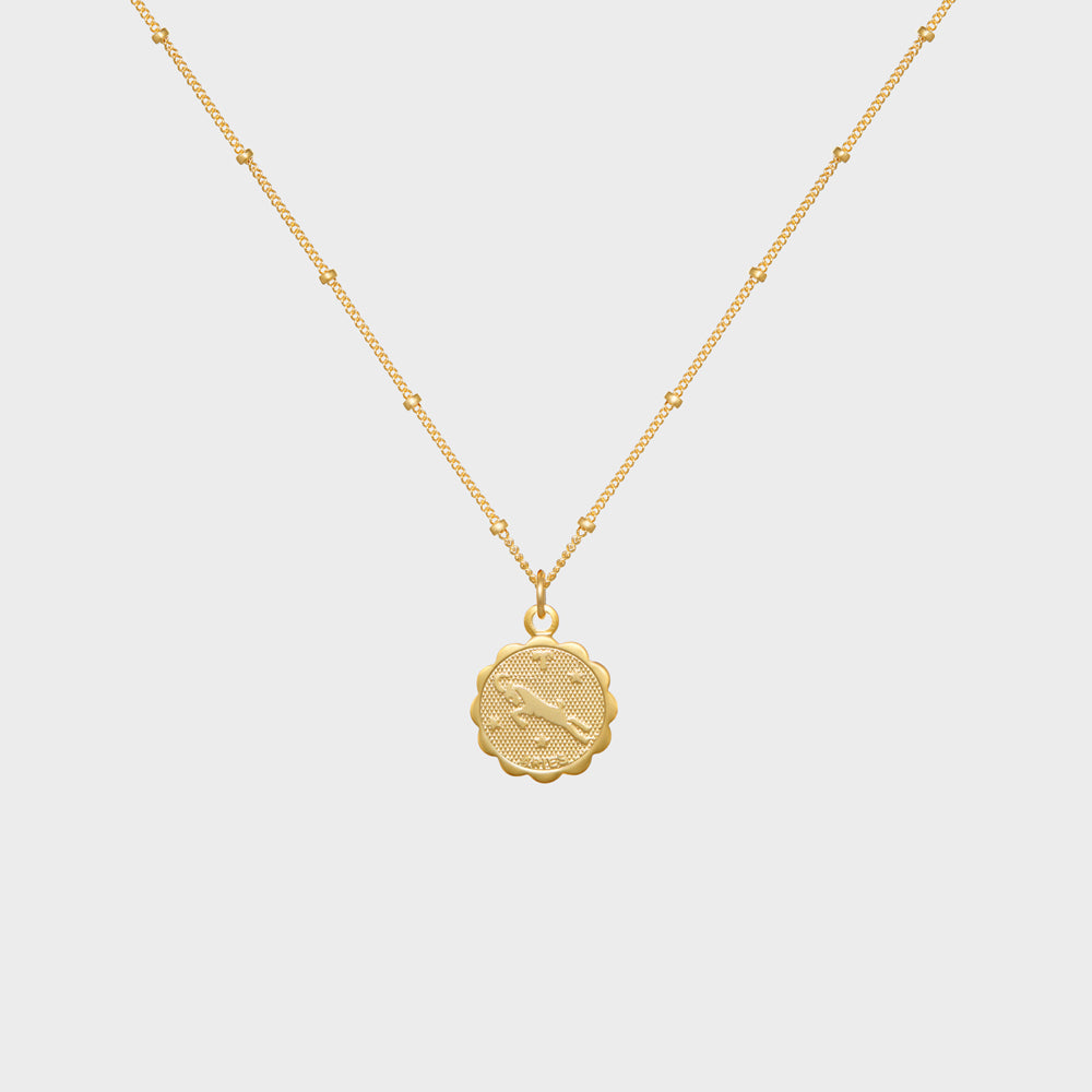 Aries Astrology Medallion Necklace