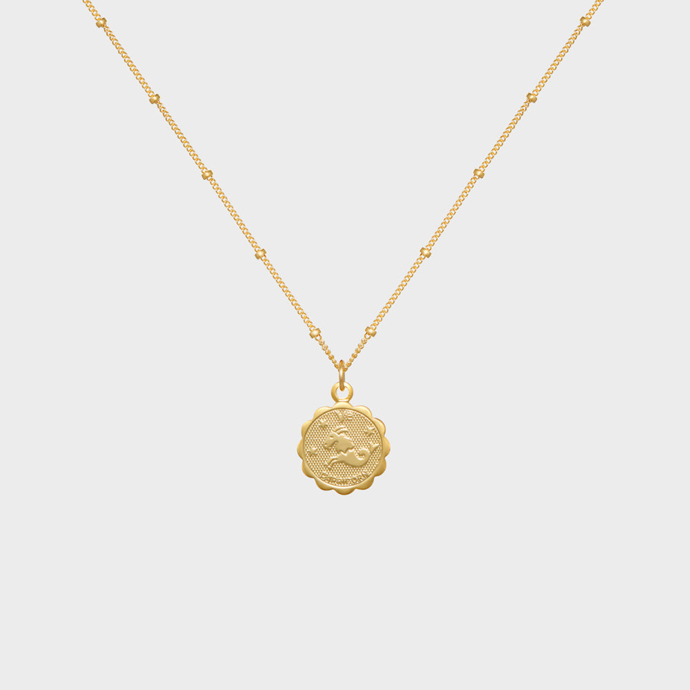 Capricorn Astrology Medallion Necklace