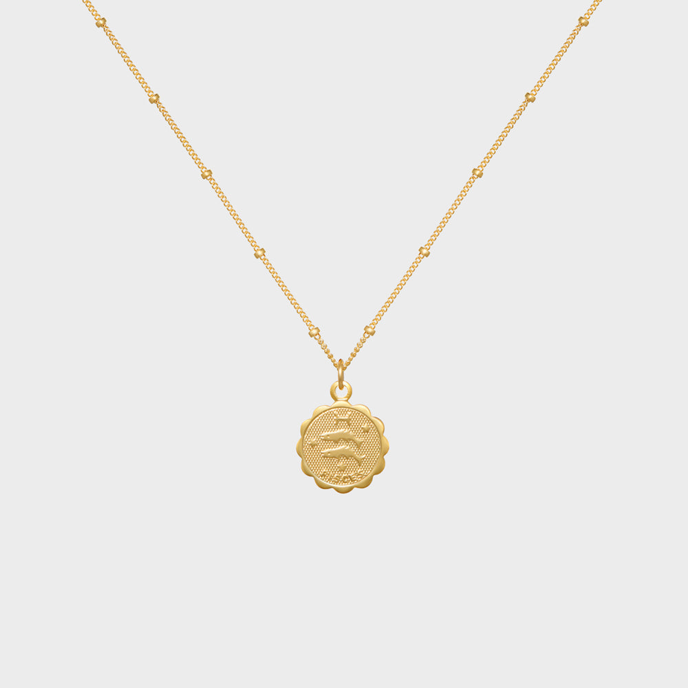 Pisces Astrology Medallion Necklace