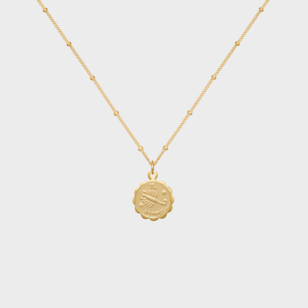 Scorpio Astrology Medallion Necklace